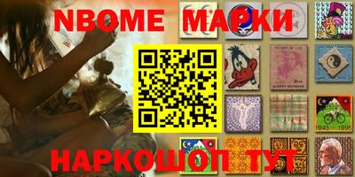 a pvp Новодвинск