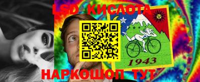 a pvp Новодвинск