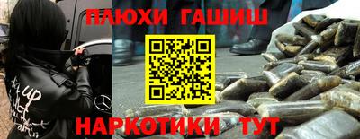 a pvp Новодвинск