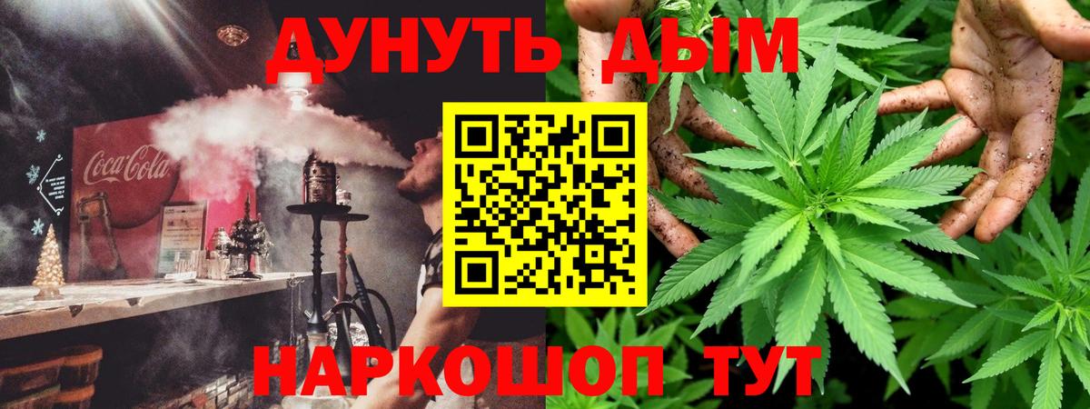Сланцы  Канабис конопля  Вход с VPN  Канабис сатива  Бошки марихуана индика 